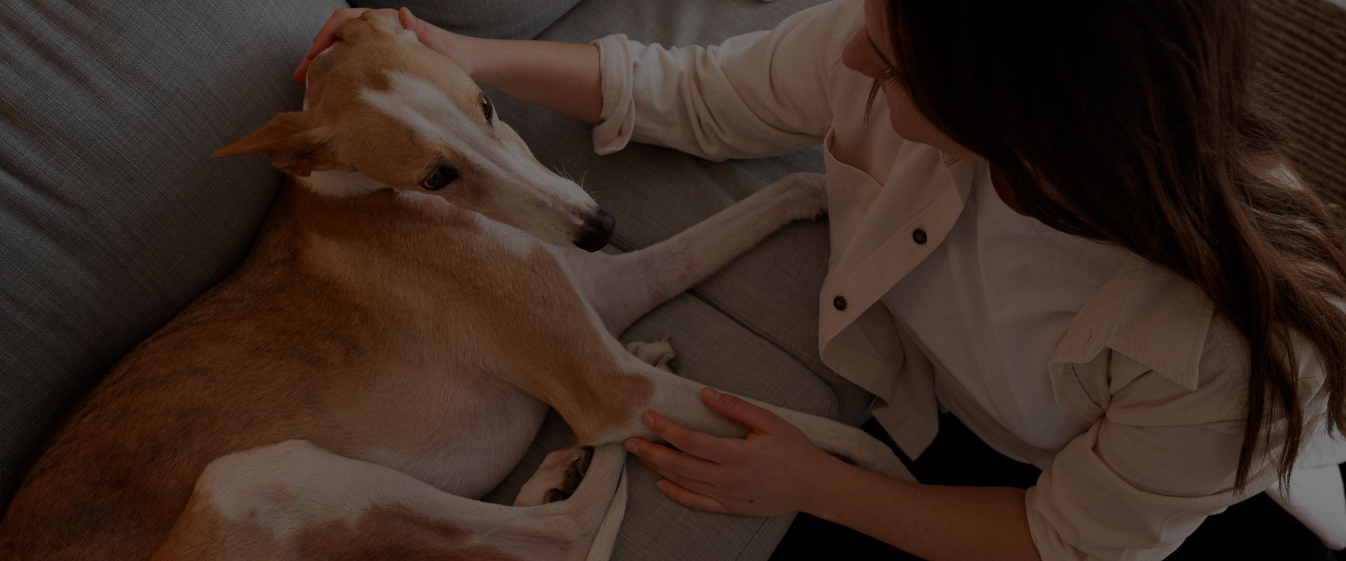 Pessoa sentada próxima a um sofá claro, com cabelos longos, vestindo camisa bege e blusa branca por baixo. A mão direita está apoiada na cabeça de um cachorro que está deitado sobre o sofá, enquanto a mão esquerda está na perna do animal.